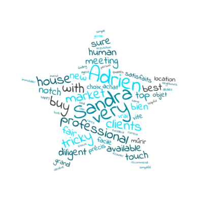nuage de mots en forme d'étoile issus de l'avis des clients de Sandra Vanhalst et Adrien Désormière