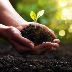 L'agence immobilière Désormière et Vanhalst s'engage pour l'environnement