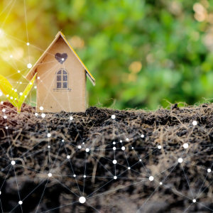 Trouver le terrain idéal pour y développer un projet immobilier