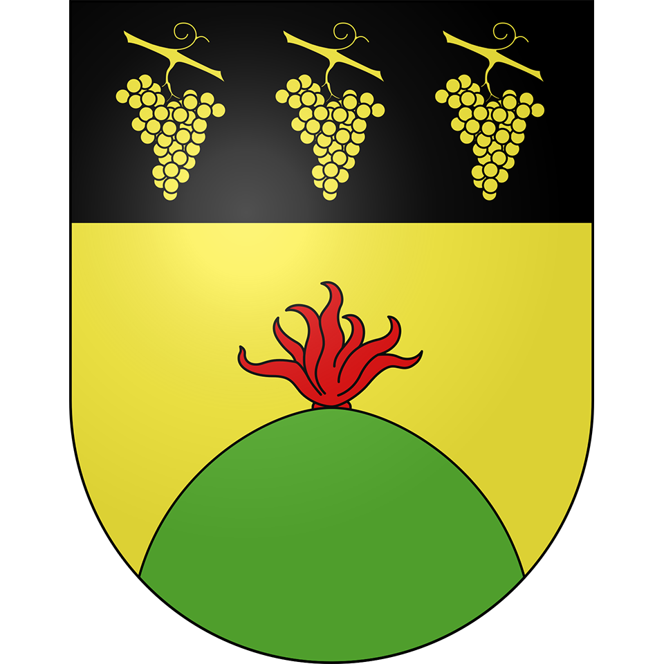 Taxonomy Featured Image