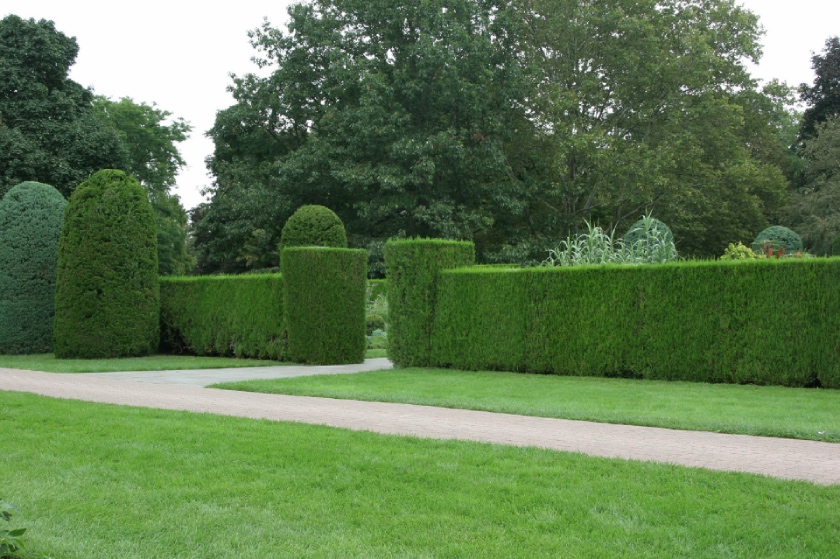 Quelle hauteur maximum pour vos haies et vos arbres: les conseils de l'agence immobilière Désormière & Vanhalst