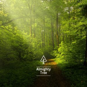 Environnement - actions et partenariat de l'agence immobilière Désormière & Vanhalst en faveur de l'environnement