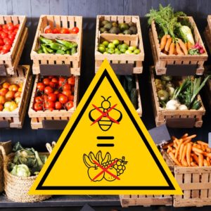 Pour la sauvegarde des abeilles: leur activité de pollinisation est essentielle pour assurer la la production de fruits et légumes. L'agence immobilière Désormière et Vanhalst parraine une ruche à Troinex