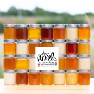 Pour la sauvegarde des abeilles: l'agence immobilière Désormière et Vanhalst parraine la Fondation l'Arche des Abeilles et les Miels de Stéphanie