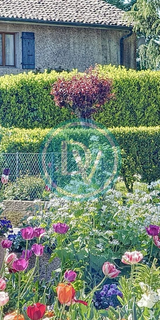 Property Featured Image