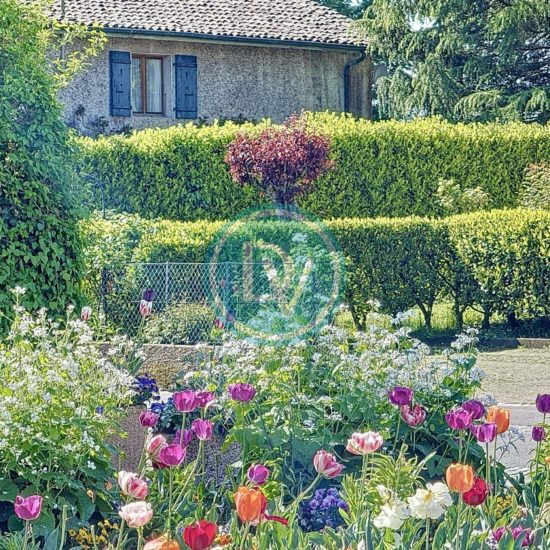 Property Featured Image