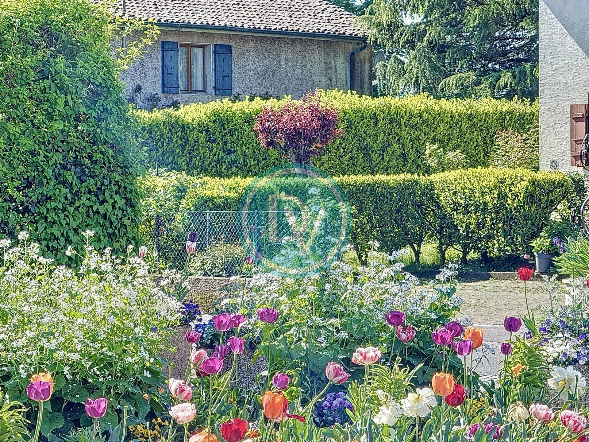 Property Featured Image