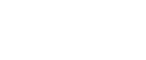 Logo white